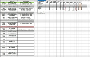 Match Volley-ball Loisir senior