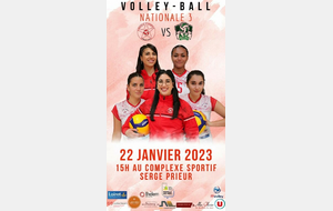 Match Volley-Ball N3