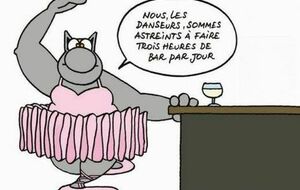 FAC - Après-midi au Diamant Bleu