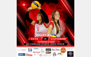 Match Volley-Ball N3