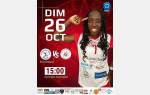 Match volley ball N3F