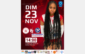 Match volley ball N3F