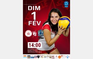 Match volley ball N3F