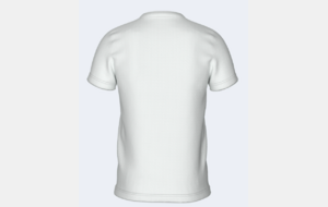 Maillot EVERTON
