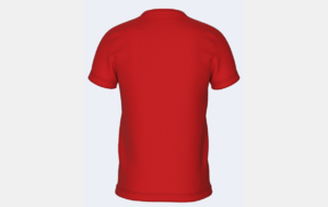 Maillot EVERTON