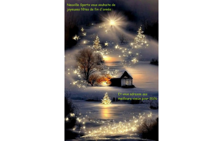 Joyeuses fêtes !!