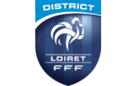 DISTRICT DU LOIRET DE FOOTBALL
